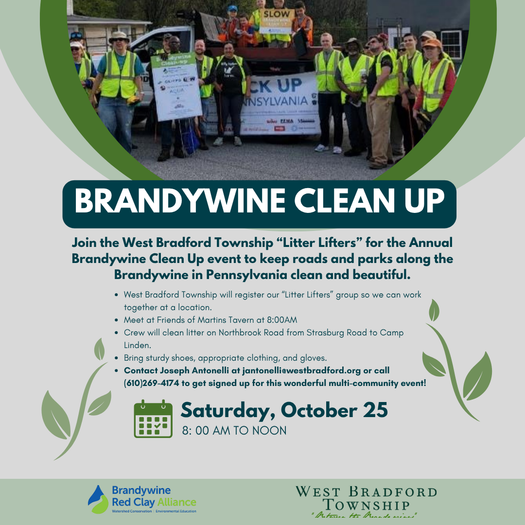 Brandywine Clean UP (Instagram Post) (1)