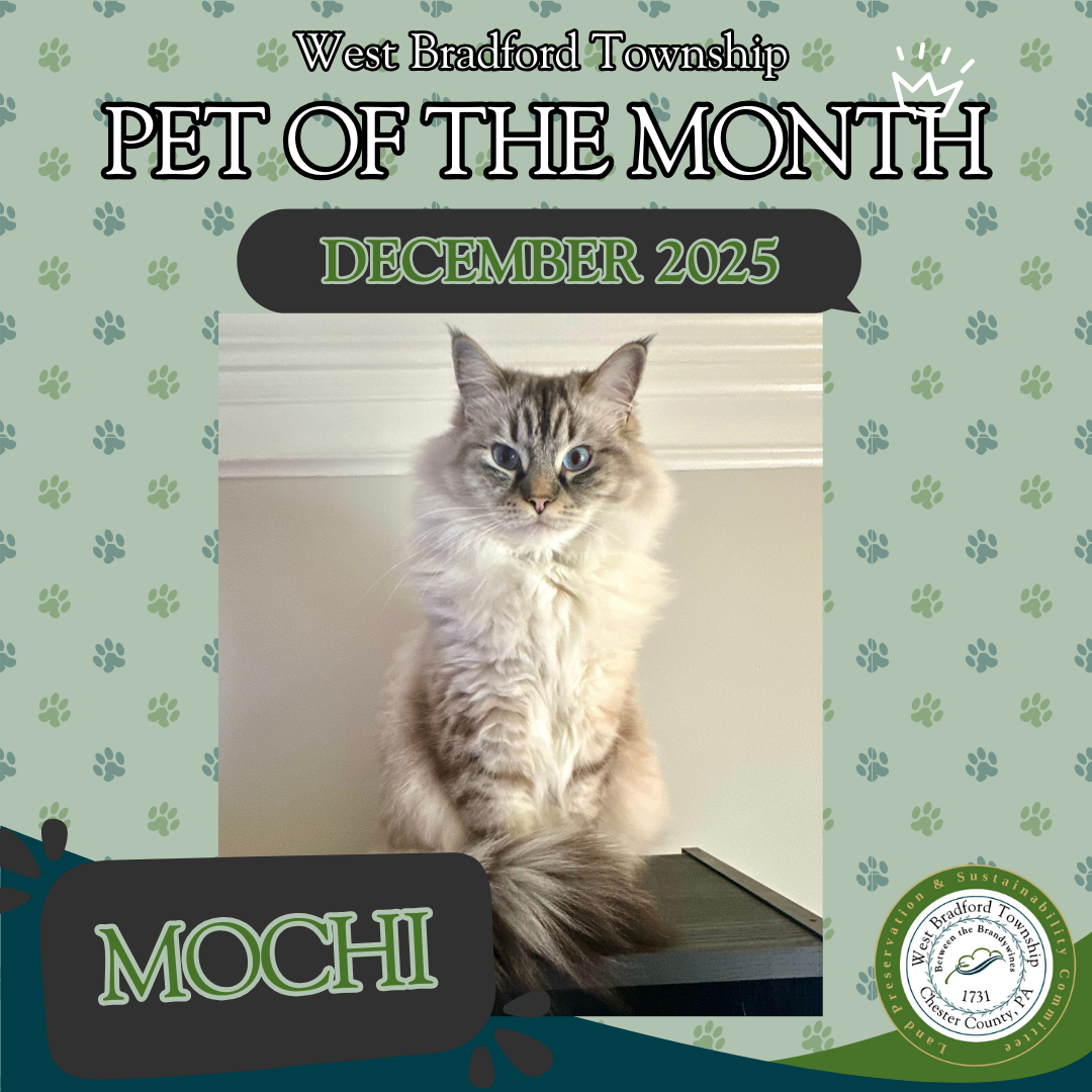 WBT Pet Of The Month Dec25