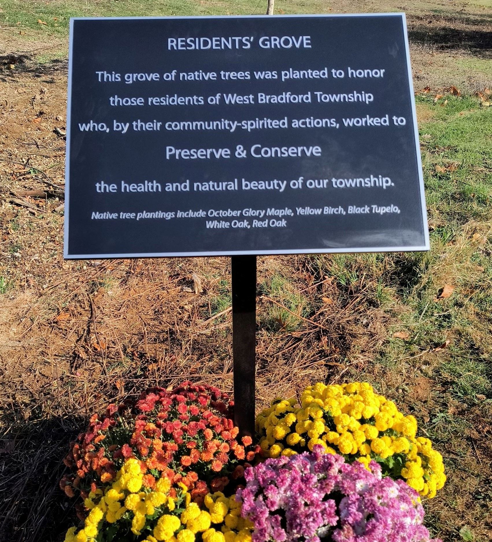 Plaque Preserve-Conserve