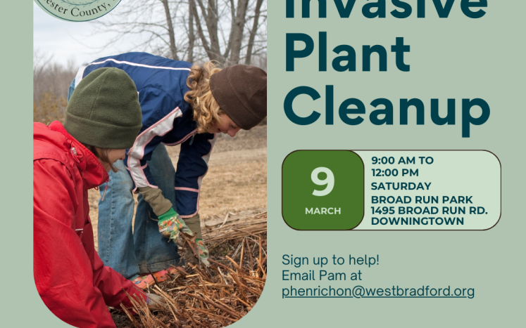 Invasive Plant Cleanup Social Card