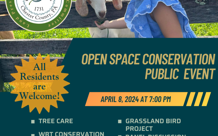 Open Space Public Event 