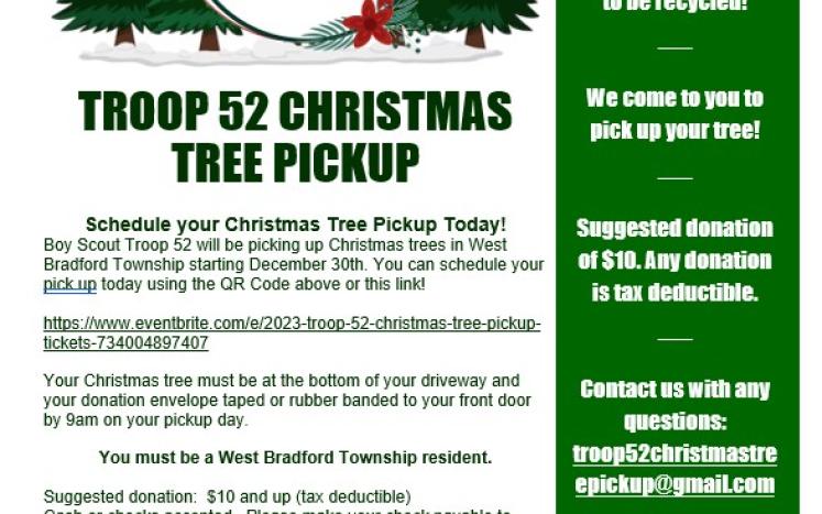 Boy Scout Tree Pickup Flyer